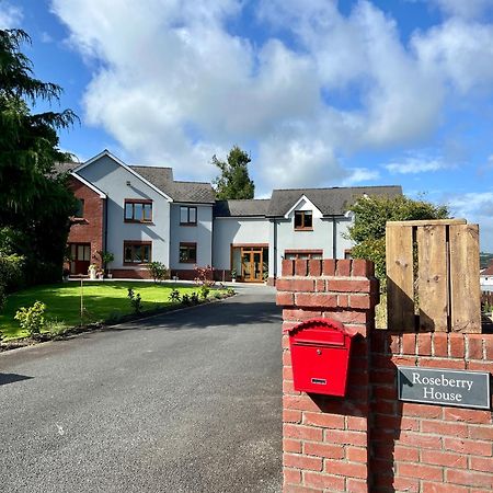 Roseberry House Bed & Breakfast Newcastle Emlyn Exterior foto